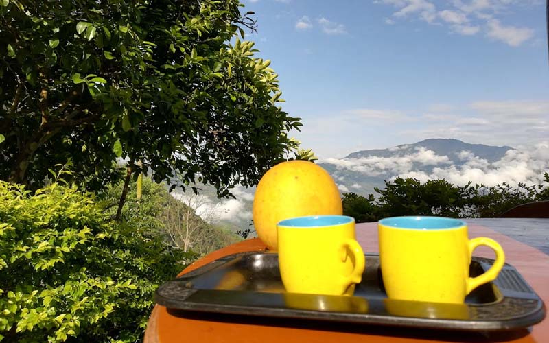 K. K. Homestay Images