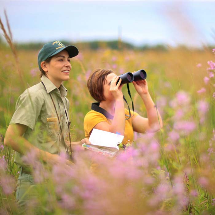 Bird Watching